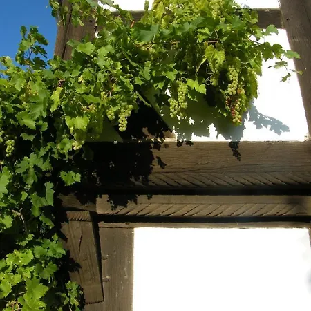 Neu! Bauern-speicher Anno 1606 * 维恩豪森